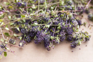 Detox Herbs: 12 Brilliant Botanical Allies for Total Body Renewal